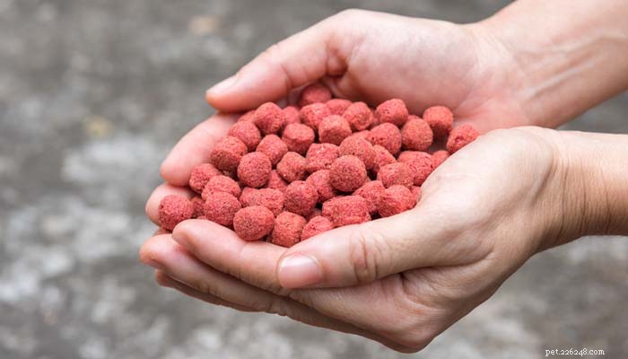 Inside the Production of Commercial Dog Food: From Ingredients to Packaging