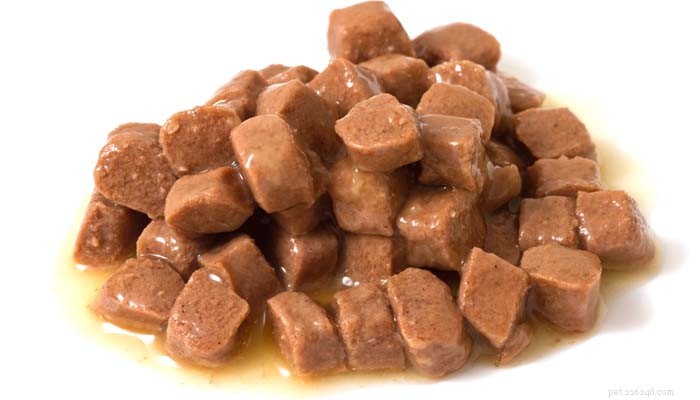 Inside the Production of Commercial Dog Food: From Ingredients to Packaging