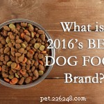 Choosing the Right Dog Food: Expert Tips for Your Pooch’s Health