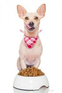 How to Meet Your Dog’s Nutritional Needs: A Guide for Pet Owners