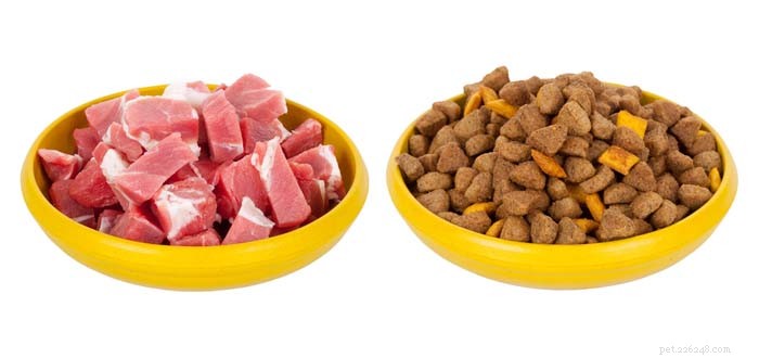 Expert Insights: The Safety of Raw Dog Food Diets for Pets