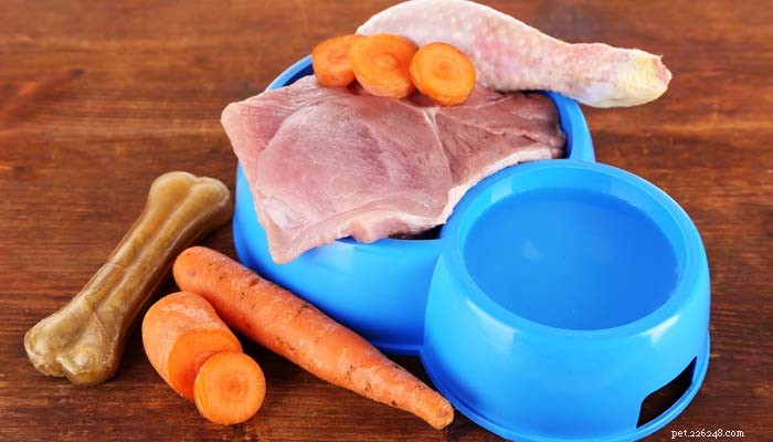 Expert Insights: The Safety of Raw Dog Food Diets for Pets