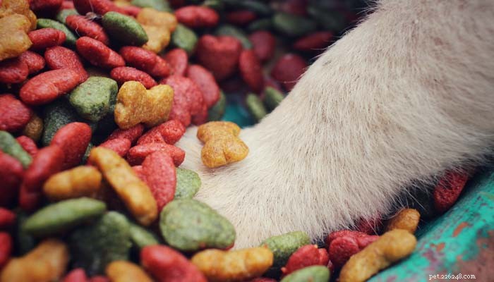 Choosing the Right Dog Food: 4 Types Explained for Your Pet s Health