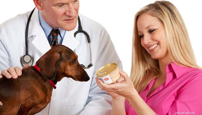 Choosing the Right Dog Food: 4 Types Explained for Your Pet s Health