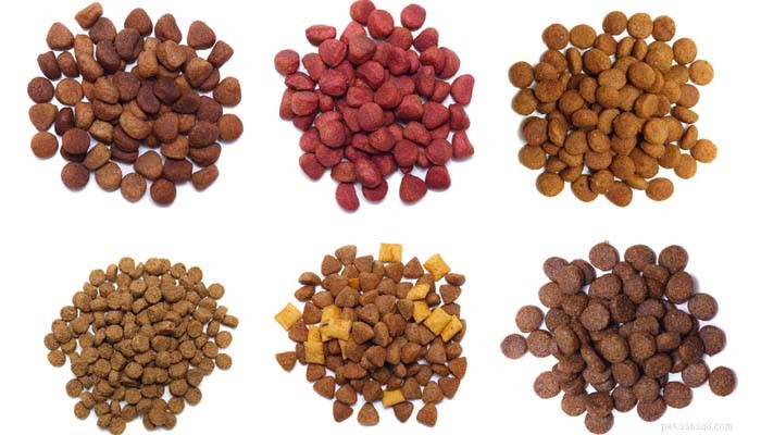 Choosing the Right Dog Food: 4 Types Explained for Your Pet s Health