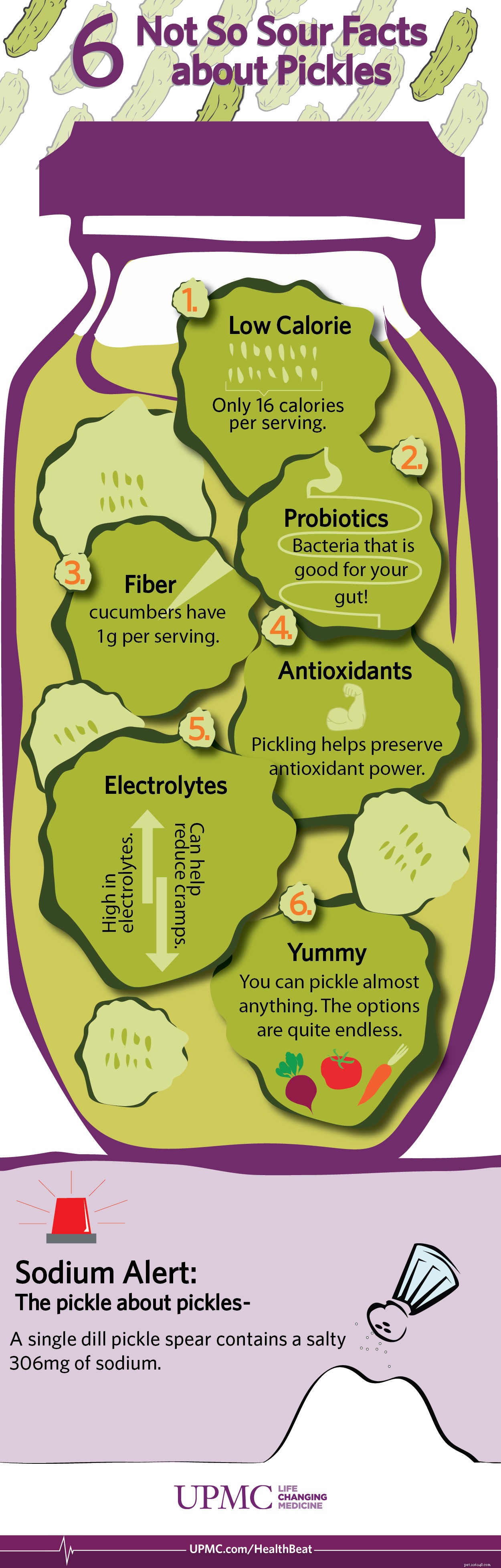 Are Pickles Safe for Dogs? Benefits & Risks Explained