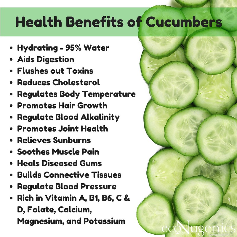 Cucumbers for Dogs: Health Benefits, Safe Serving Tips, and Possible Side Effects