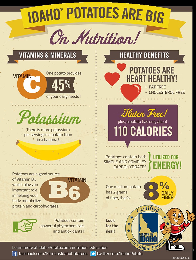 Can Dogs Safely Eat Potatoes? 4 Benefits & 3 Side Effects Explained