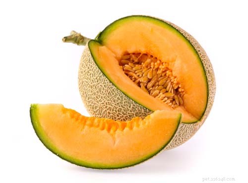 Can Dogs Safely Eat Cantaloupe? 5 Benefits & 3 Risks Explained