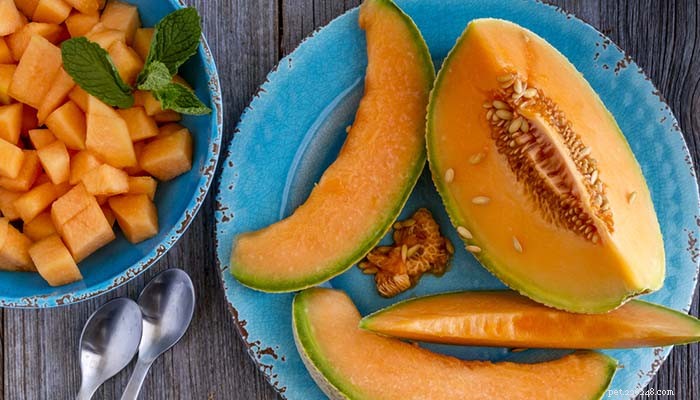 Can Dogs Safely Eat Cantaloupe? 5 Benefits & 3 Risks Explained