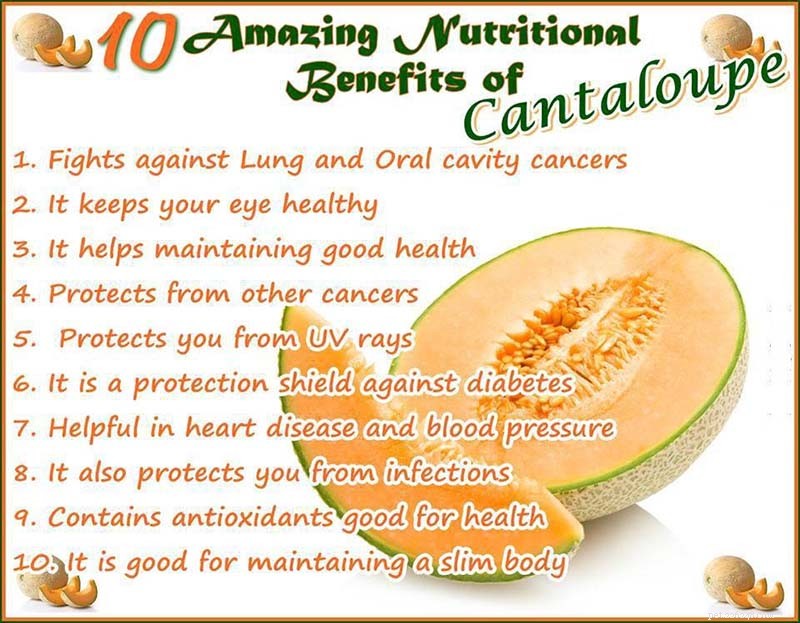 Can Dogs Safely Eat Cantaloupe? 5 Benefits & 3 Risks Explained