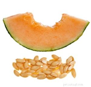 Can Dogs Safely Eat Cantaloupe? 5 Benefits & 3 Risks Explained