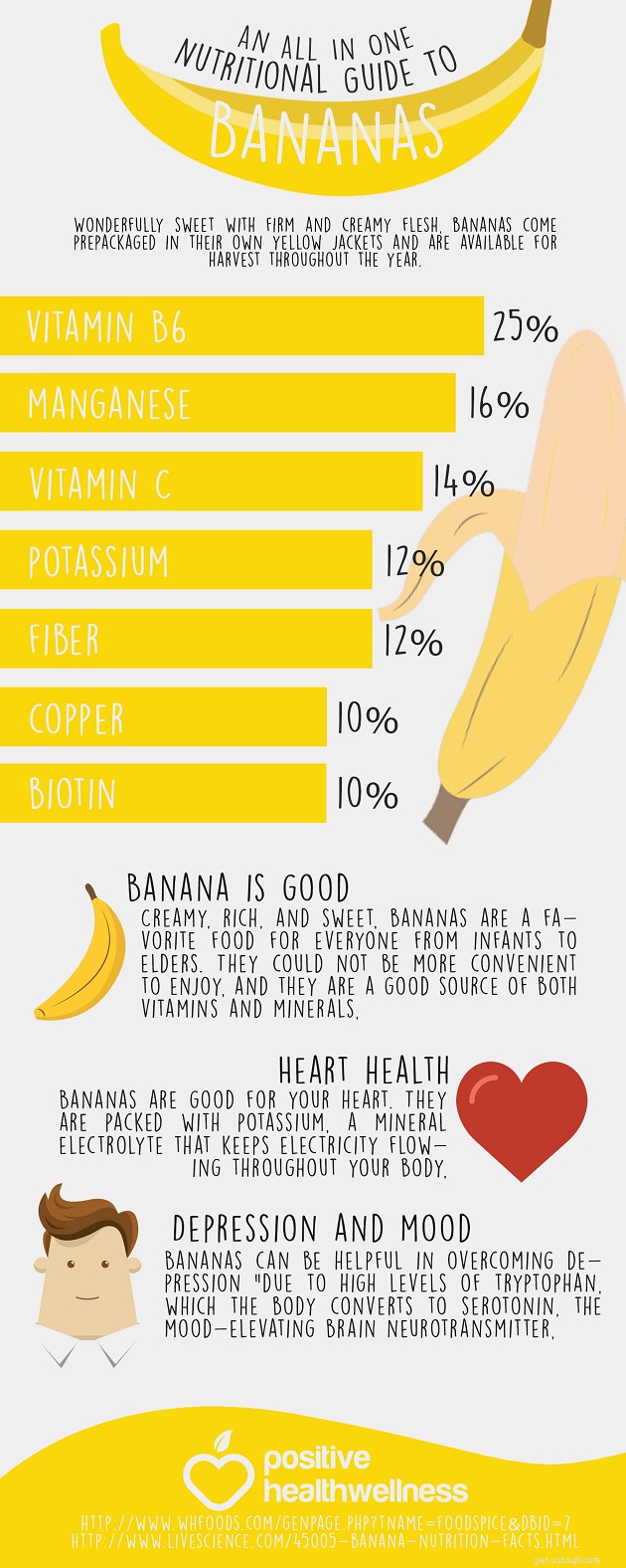 Are Bananas Safe for Dogs? 7 Benefits & 4 Risks to Know