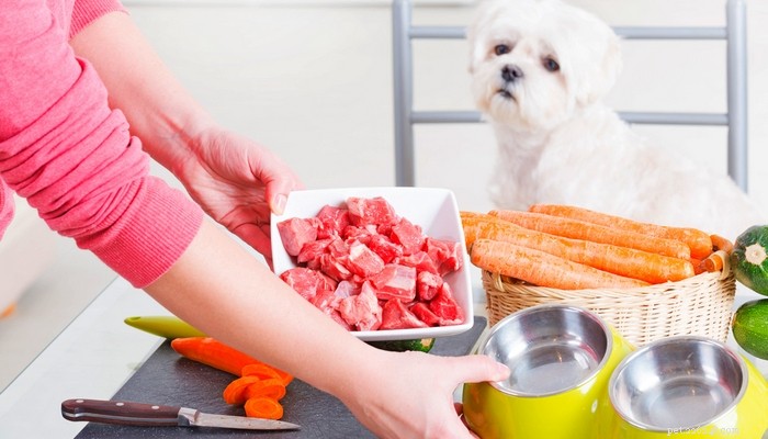 7 Scientifically Supported Reasons to Avoid Raw Dog Food