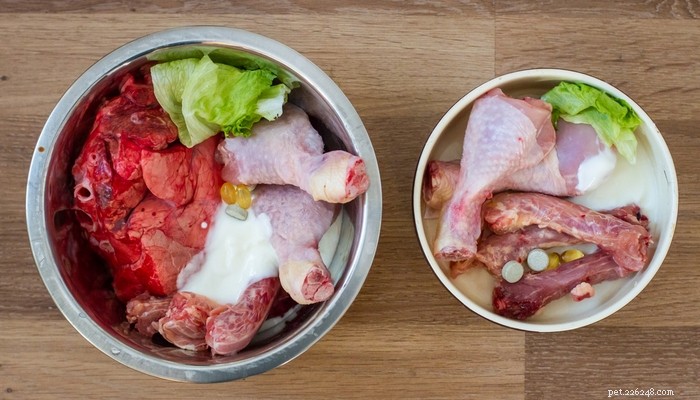 7 Scientifically Supported Reasons to Avoid Raw Dog Food