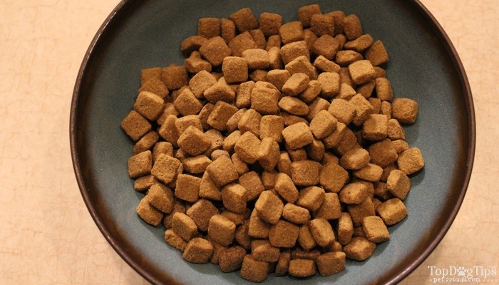 Weruva Caloric Harmony Dry Dog Food Review: Premium Nutrition for Healthy Pups
