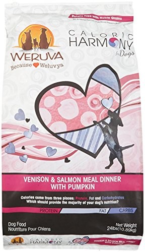 Weruva Caloric Harmony Dry Dog Food Review: Premium Nutrition for Healthy Pups