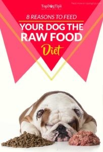 8 Proven Benefits of a Raw Food Diet for Your Dog