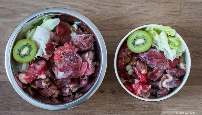 8 Proven Benefits of a Raw Food Diet for Your Dog