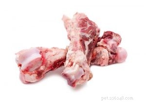 8 Proven Benefits of a Raw Food Diet for Your Dog