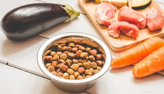 8 Proven Benefits of a Raw Food Diet for Your Dog