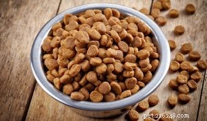 The Ultimate Guide: 17 Proven Tips for Selecting the Perfect Dog Food