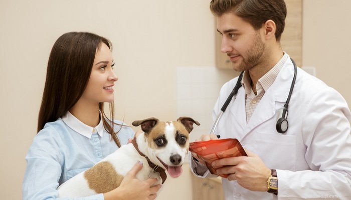 The Ultimate Guide: 17 Proven Tips for Selecting the Perfect Dog Food