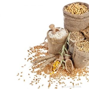 The Ultimate Guide: 17 Proven Tips for Selecting the Perfect Dog Food