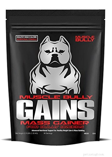 Top 5 Premium Dog Foods for Pit Bulls: Build Muscle & Strength