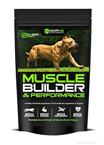 Top 5 Premium Dog Foods for Pit Bulls: Build Muscle & Strength