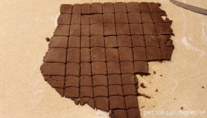 Carob Crunchies: Wheat & Gluten‑Free Dog Treats Rich in Protein & Safe for Sensitive Dogs
