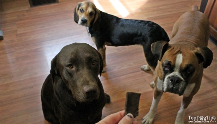 Carob Crunchies: Wheat & Gluten‑Free Dog Treats Rich in Protein & Safe for Sensitive Dogs