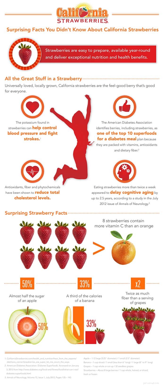 Strawberries for Dogs: Health Benefits, Safety, and Feeding Tips