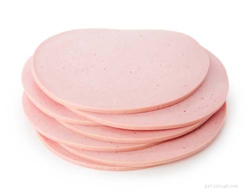 Is Bologna Safe for Dogs? Benefits and 7 Potential Side Effects