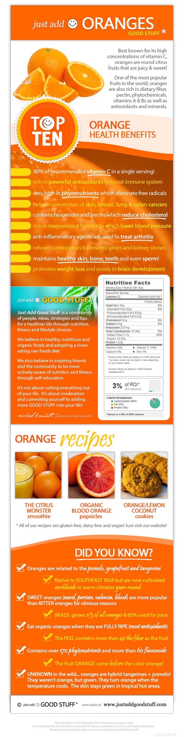Are Oranges Safe for Dogs? Benefits, Risks, and How to Feed Them