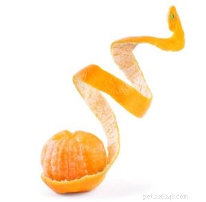Are Oranges Safe for Dogs? Benefits, Risks, and How to Feed Them