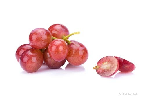 Why Grapes Are Dangerous for Dogs: Understanding Grape Toxicity