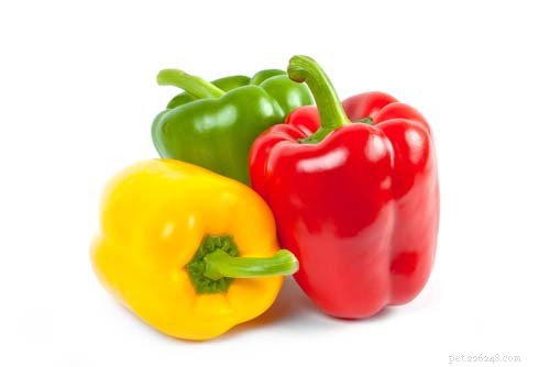 Can Dogs Safely Eat Bell Peppers? 9 Health Benefits & Possible Side Effects