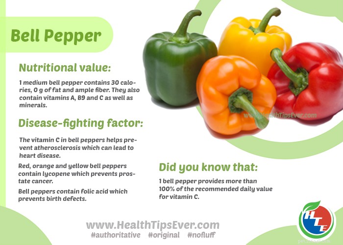 Can Dogs Safely Eat Bell Peppers? 9 Health Benefits & Possible Side Effects