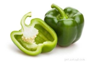 Can Dogs Safely Eat Bell Peppers? 9 Health Benefits & Possible Side Effects