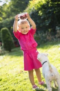 Can Dogs Safely Enjoy Raspberries? 10 Health Benefits & 2 Minor Risks
