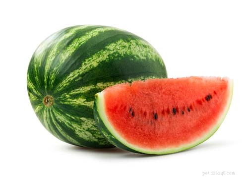Is Watermelon Safe for Dogs? 5 Health Benefits & 2 Side Effects