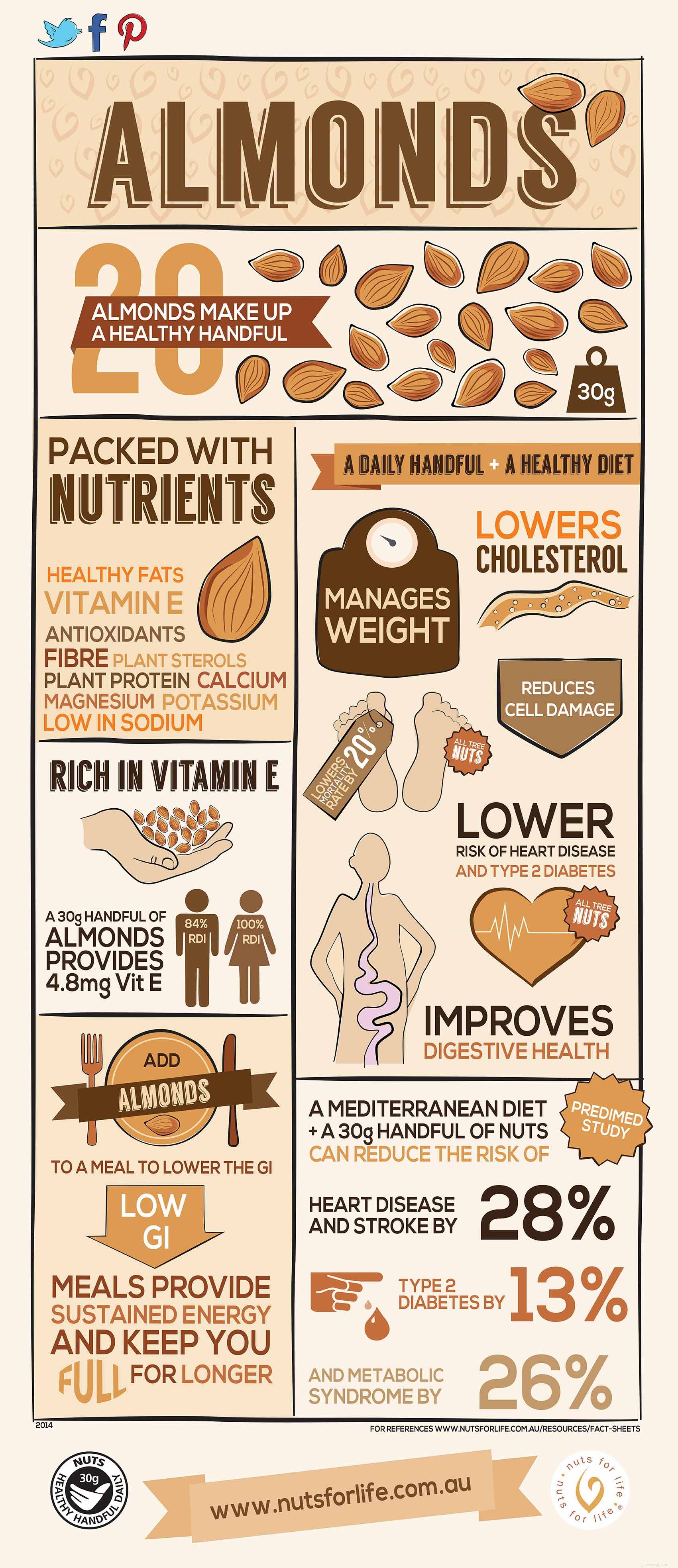 Almonds for Dogs: Benefits, Risks & Safe Feeding Guide