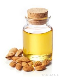 Almonds for Dogs: Benefits, Risks & Safe Feeding Guide