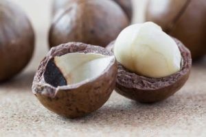 Are Macadamia Nuts Safe for Dogs? Health Benefits and Risks Explained