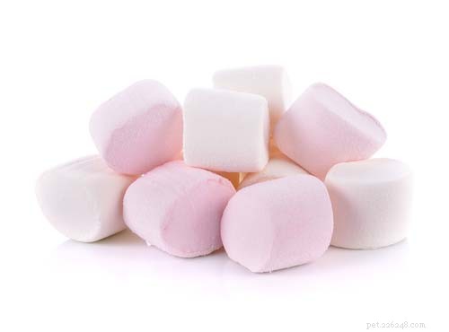 Are Marshmallows Safe for Dogs? Explore 3 Benefits & 5 Risks