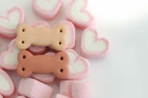 Are Marshmallows Safe for Dogs? Explore 3 Benefits & 5 Risks