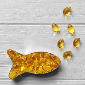Top 3 Science‑Based Dog Food Diets to Prevent Health Issues