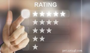 How to Read Online Dog Food Reviews: Choose the Best Diet for Your Pet