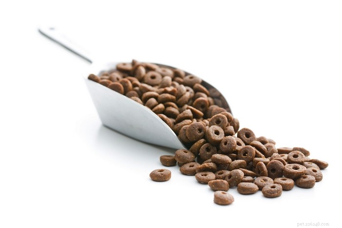 Choosing the Best Dog Food: Why Quality Matters